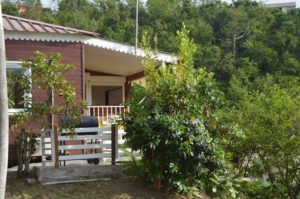 Les Bungalows Darly Les_Bungalows_Ananas_18_