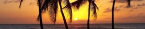 Les Bungalows Darly cropped-beach-1892742_640.jpg
