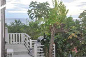 Les Bungalows Darly Ananas (7)