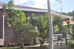 Les Bungalows Darly Ananas (9)