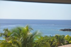 Les Bungalows Darly Mandarine (12)