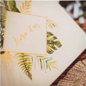 Les Bungalows Darly livre d'Or