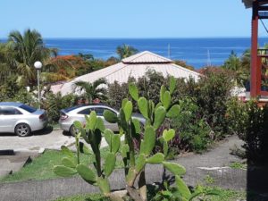 Les Bungalows Darly Bungalows d'Arly_ vue mer 2_2020