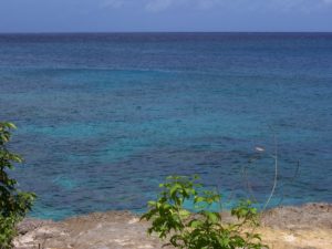 Les Bungalows Darly Ce bleu pour vous