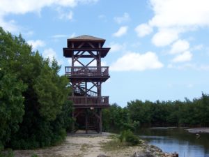 Les Bungalows Darly Mangrove3
